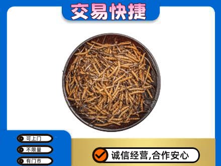 泉州安溪县高价回收散虫草